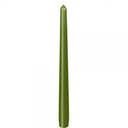 Spitzkerze Olive